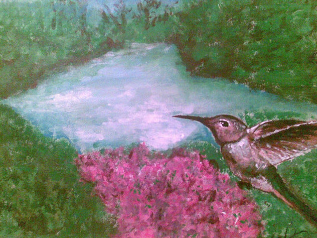 elegante colibri