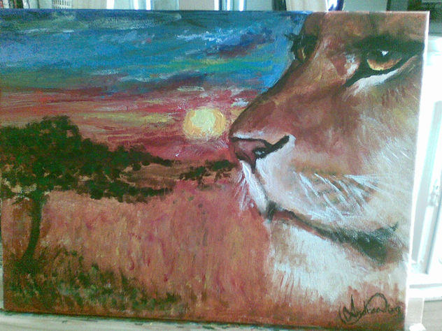 the lion and the sunset
