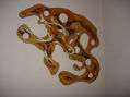 composicion 1