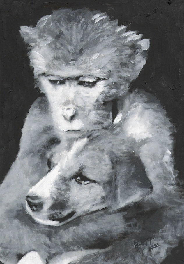 animales