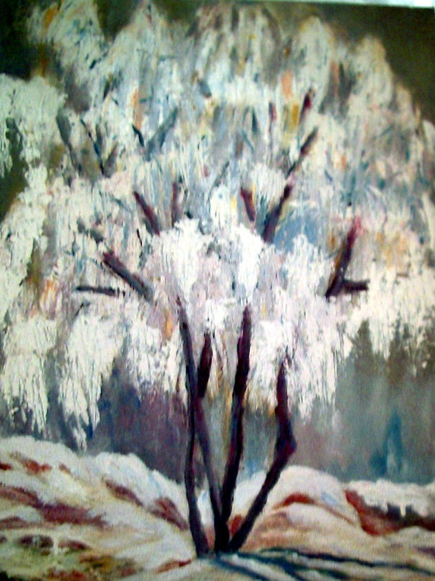 arbre nevat
