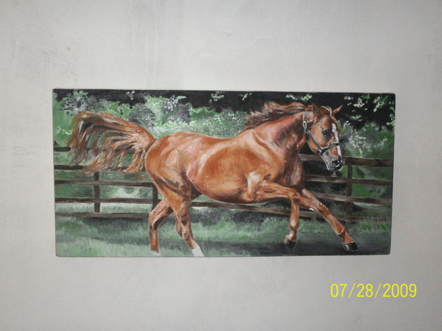 Caballo al Galope Oil Canvas Animals