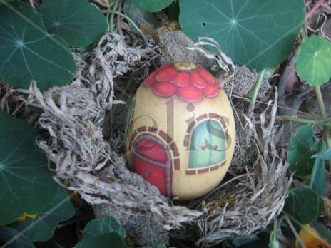 Egg`s house