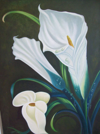 Calas  de  la via Oil Canvas Floral Painting