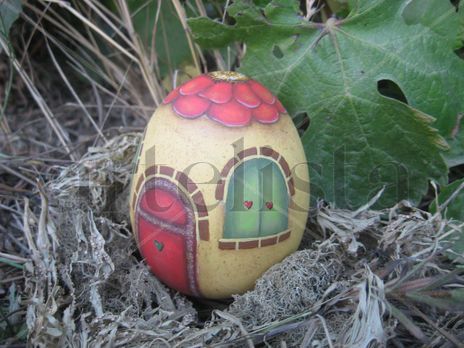 Egg`s house