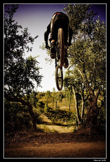 Pure bike...