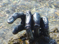 Mano