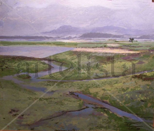 MARISMA Oil Canvas Landscaping