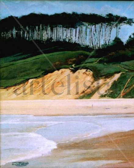 loredo playa Oil Panel Landscaping