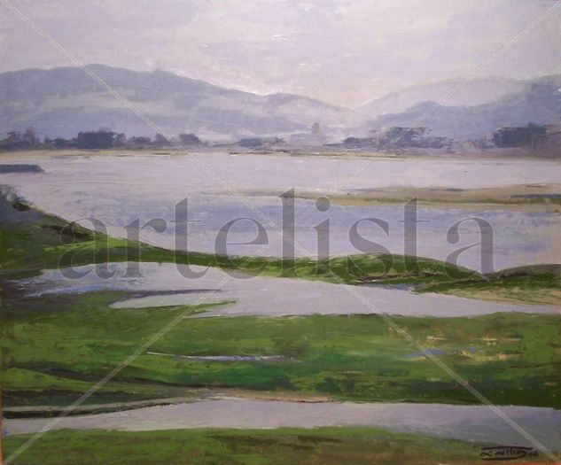 MARISMA 2 Oil Canvas Landscaping