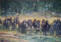 Caballos salvajes