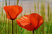 Dos amapolas