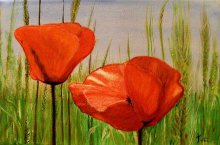 Dos amapolas