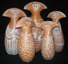 Bonecas Terracota