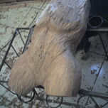 torso femenino thumbnail 2