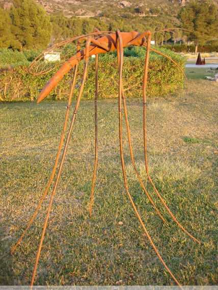 Mosquito