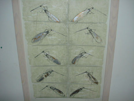 ¨Mosquitos ¨