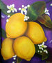 Frutos y Flor