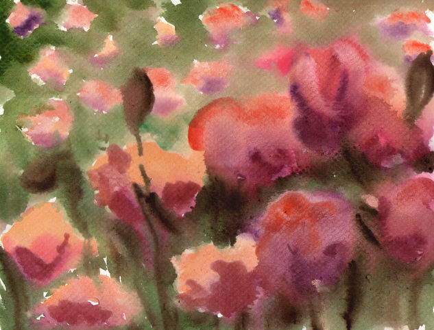 AMAPOLAS 2 Watercolour Paper Floral Painting