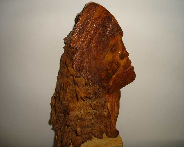 Amazona Wood Abstract