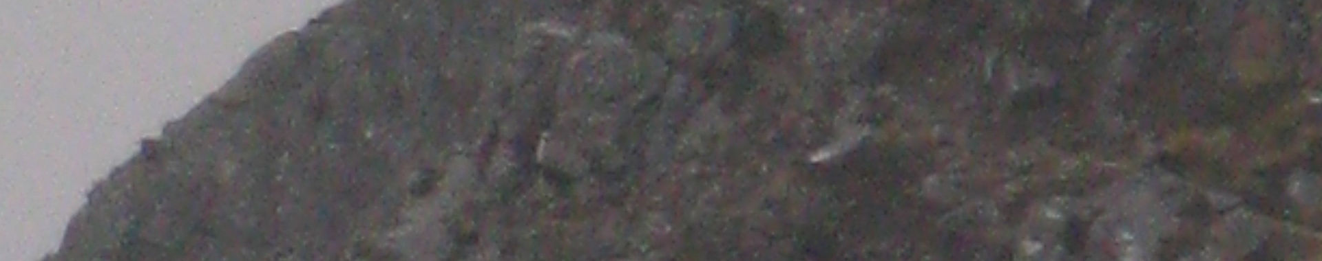Imagen de portada