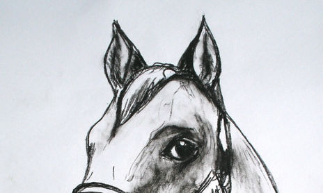 CABALLOS - CARBONILLAS