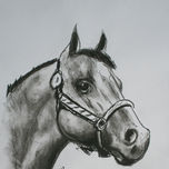 CABALLOS - CARBONILLAS thumbnail 2