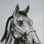 CABALLOS - CARBONILLAS thumbnail 1