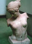 Torso de La Venus