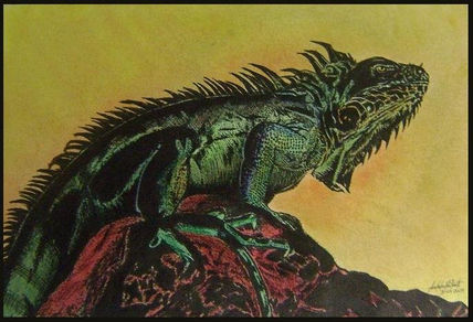 La Iguana.