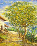 Paisaje Suroeste Antioqueño