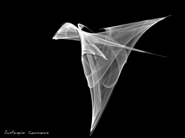 El vuelo del tul, (Flight of tulle)