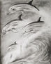 Delfines
