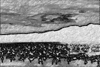 Paisaje