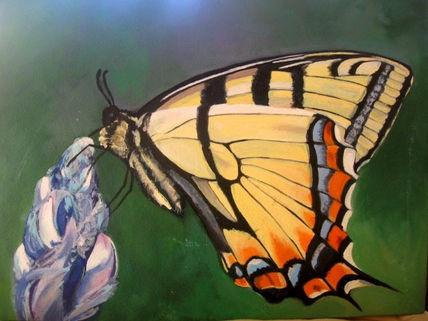 Mariposa 1