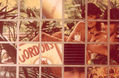 COLLAGE SUGERENTE