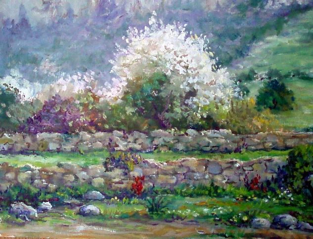 almendro Oil Paper Landscaping