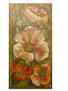 AMAPOLAS GIGANTES