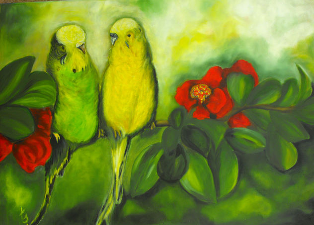 animales,pajaros, verde, amarillo naturaleza , varios Pericos