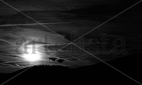 paisaje