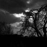 paisaje thumbnail 2