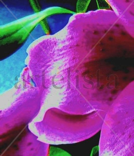 Fotografiando detalles