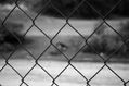 bizzarro dof