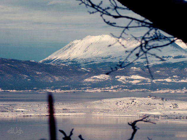 Cumbre de la Isla Navarino