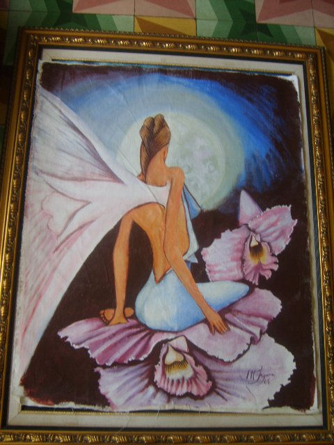 mariposa