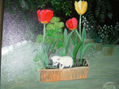 gato en tiesto de flores