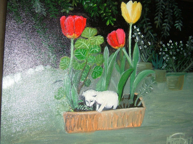 gato en tiesto de flores