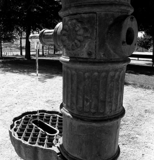 Fuente 
