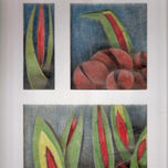 serie semillas thumbnail 1