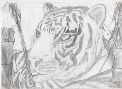 Tigre algo mas...